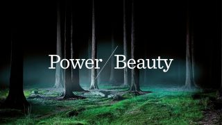 Abacus Power Beauty - Campaign Logo