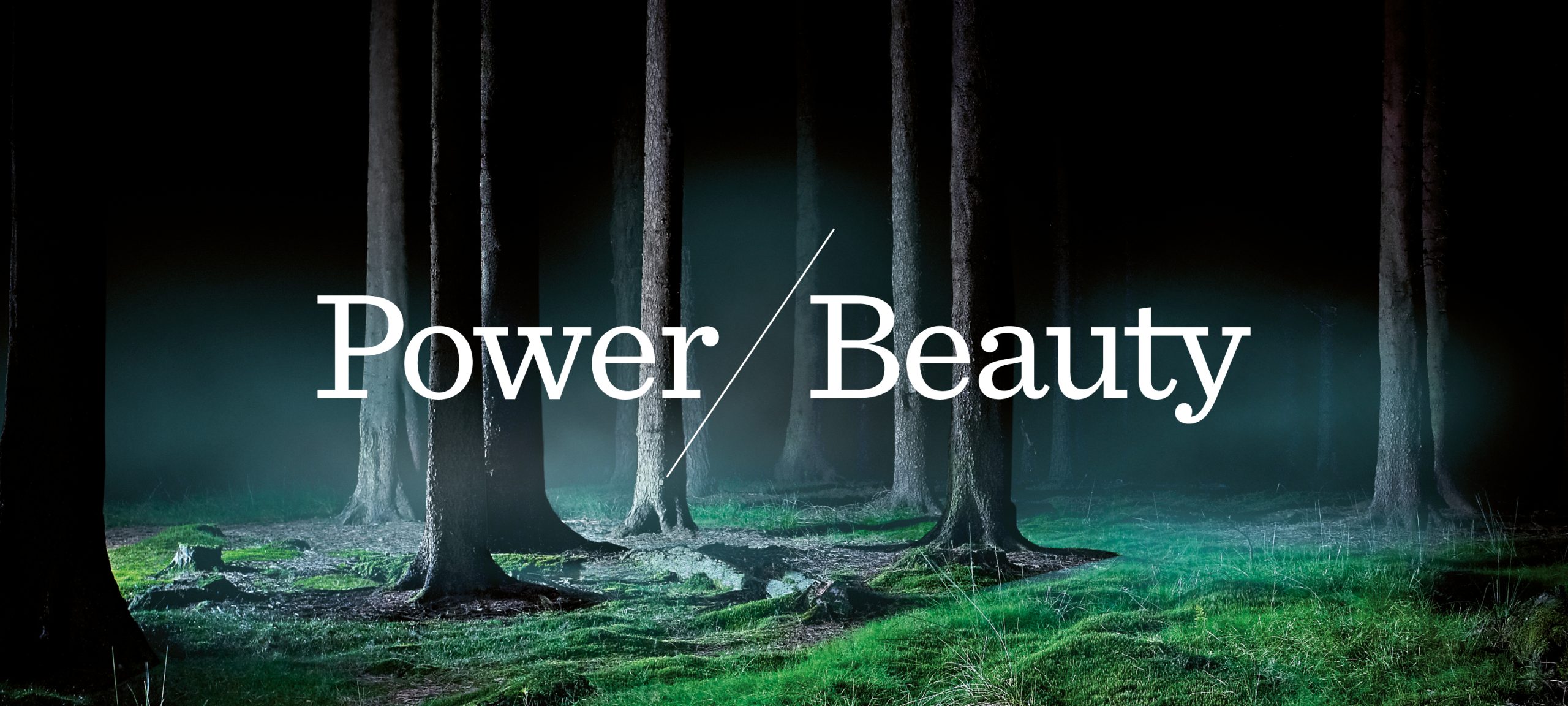 Abacus Power Beauty - Work Page Thumbnail