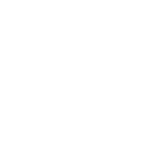 Boots Logo White