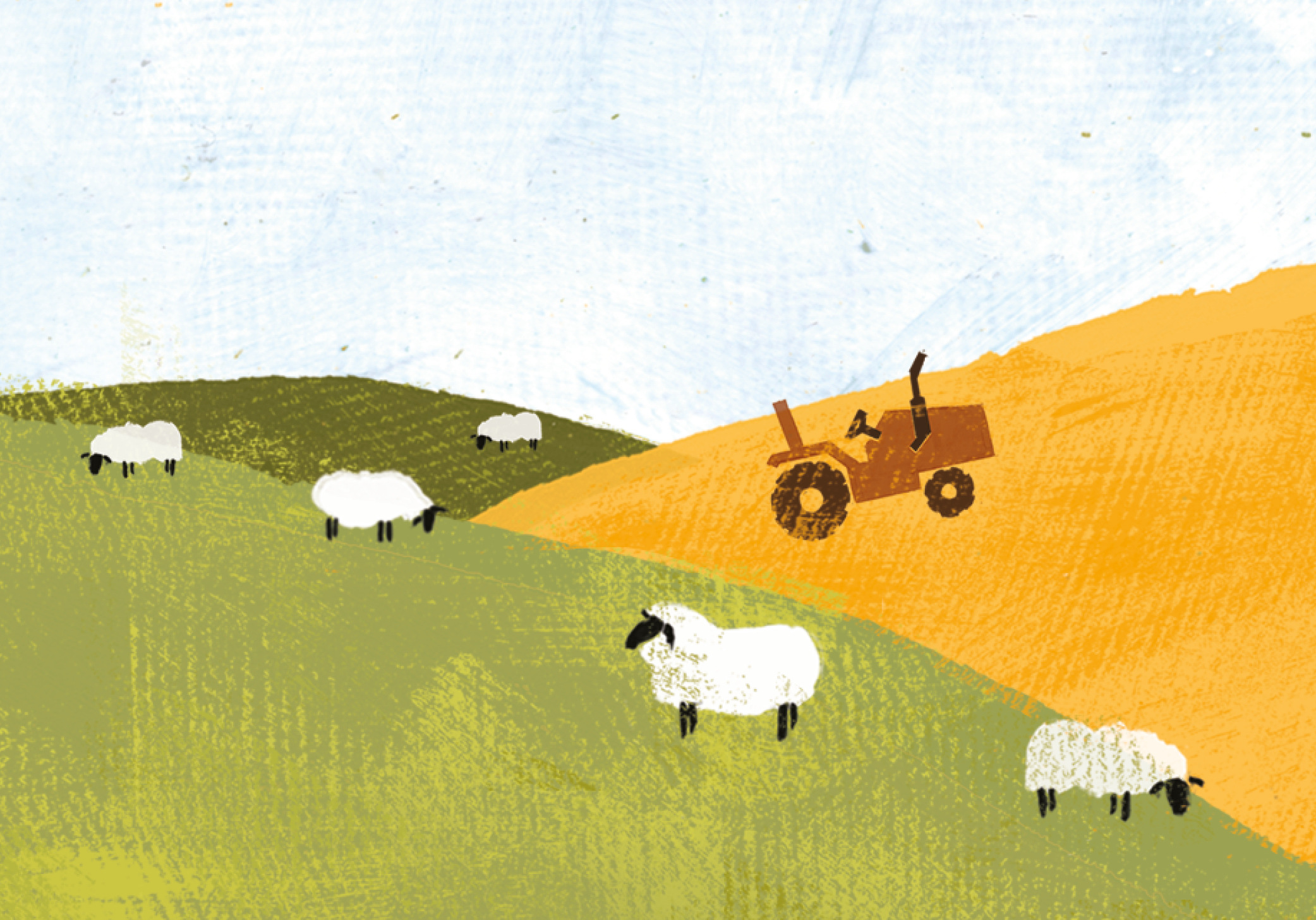 Borderfields - Illustration 1