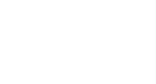 Borderfields Logo v2