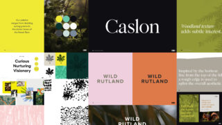 Cubic - Wild Rutland - Concepts