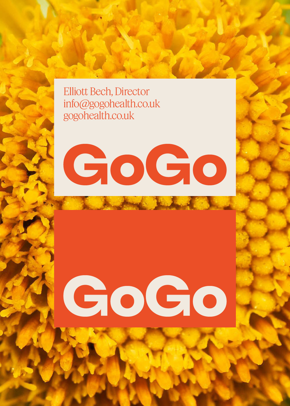 Cubic_GoGo14